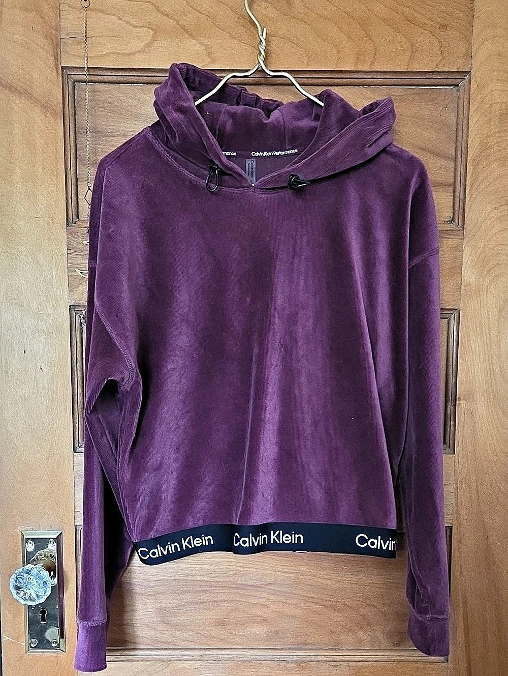 Calvin Klein Performance Velvet Corduroy Pullover Hoodie in Dark Plum